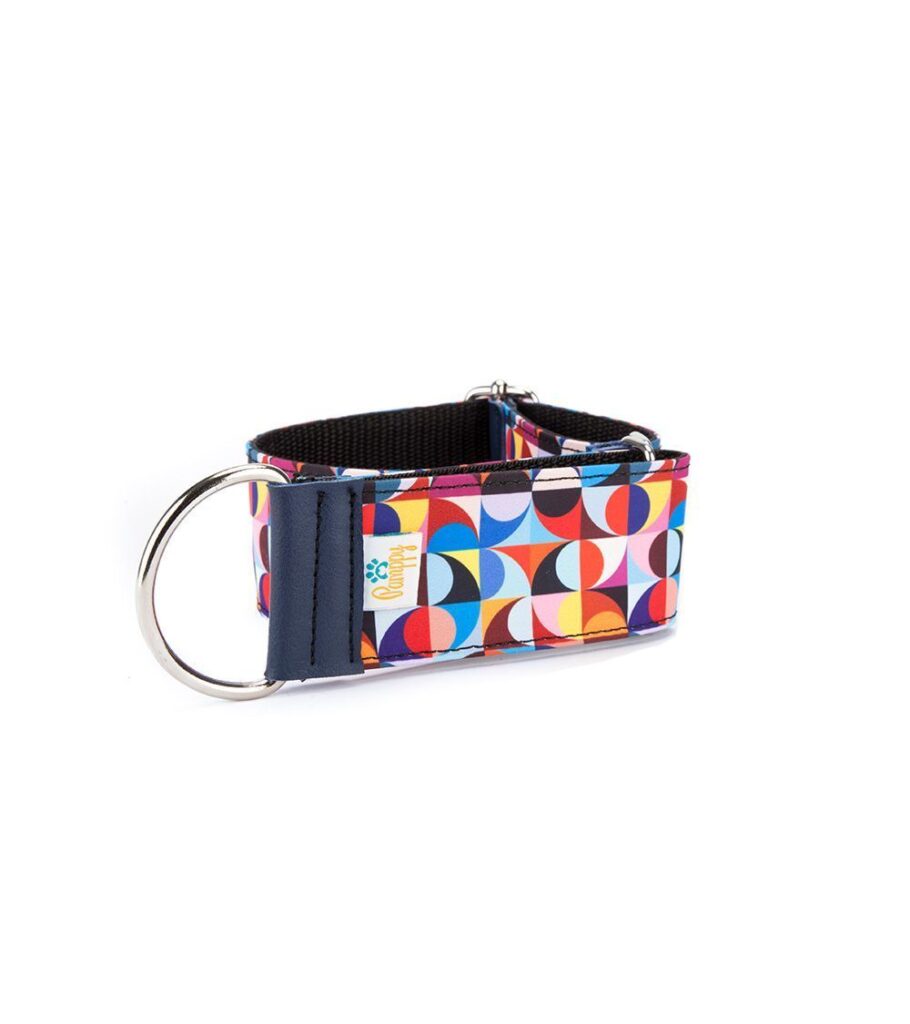 Collar Galgo Speedy Regulable Retro Colors - Pamppy