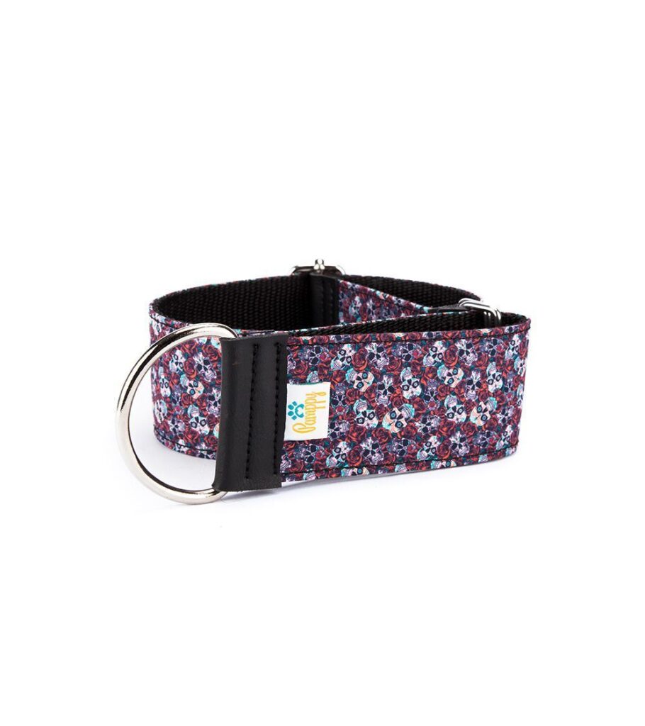Collar Galgo Speedy Regulable Evan Roses - Pamppy
