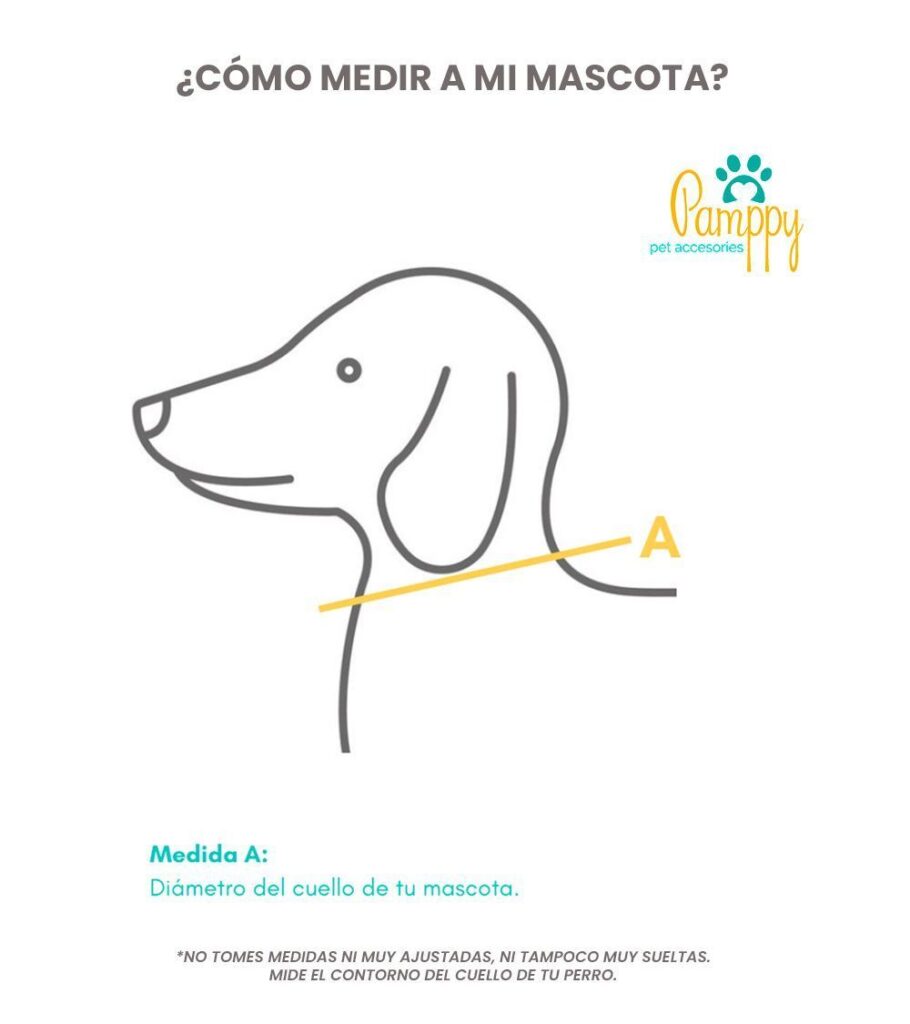 Obtener Talla para mi perro collar