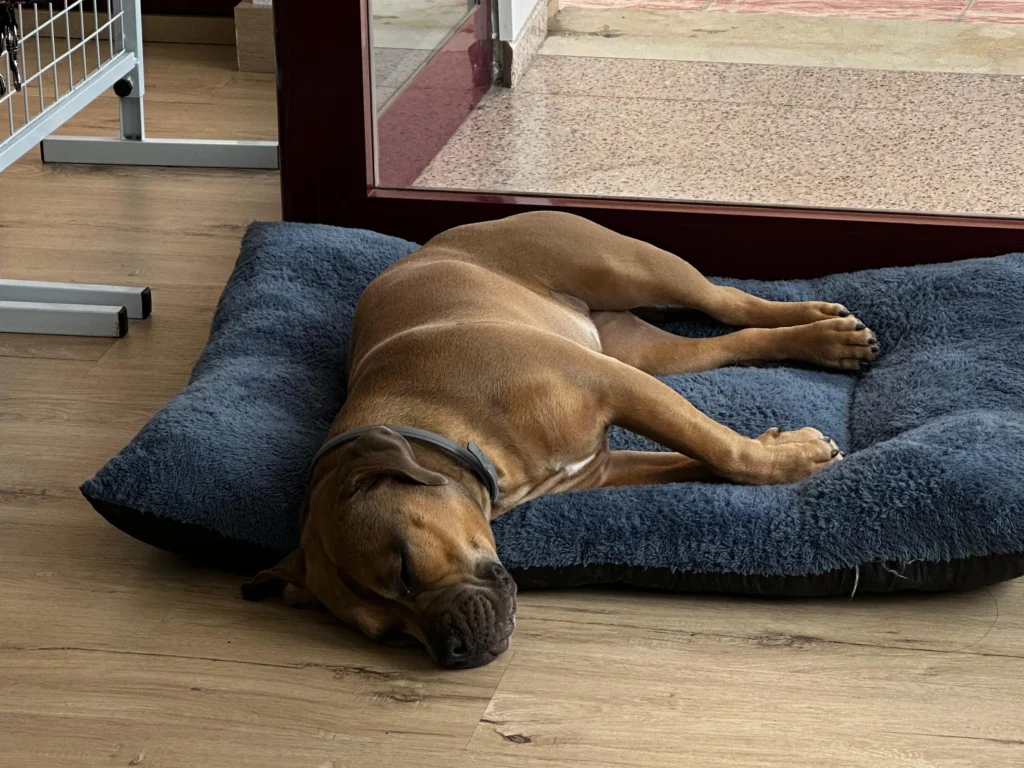 Luna con calor