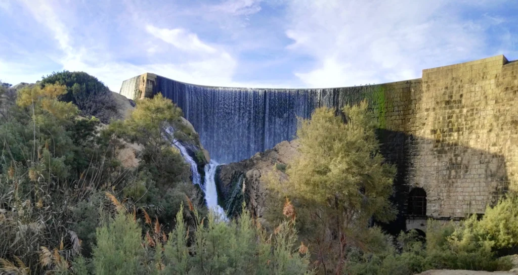 Pantano de elche