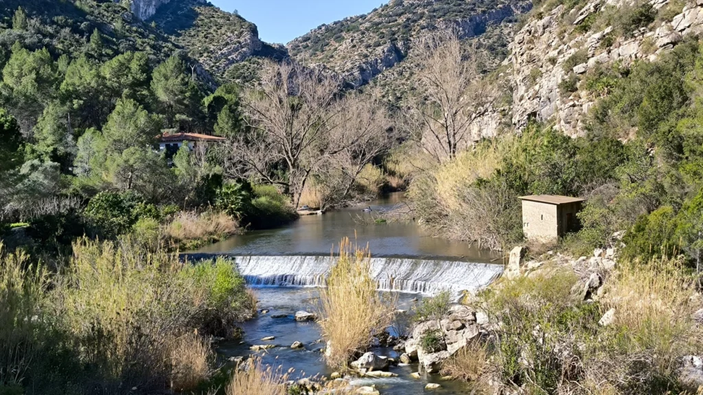 Sierra de mariola, una ruta perfecta para ir con tu perro