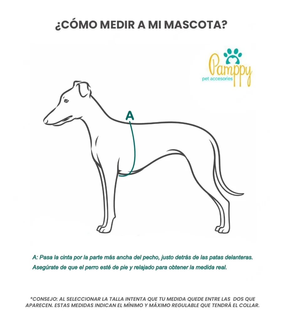 guia tallas perro arnes pamppy