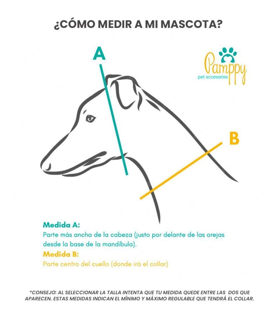 guia tallas perro pamppy