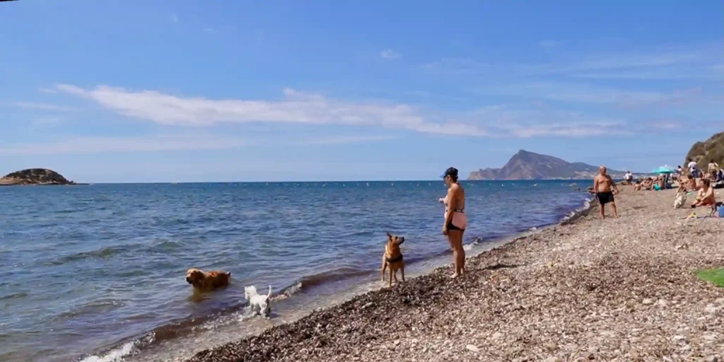 Playa Mar y Montaña (Altea)