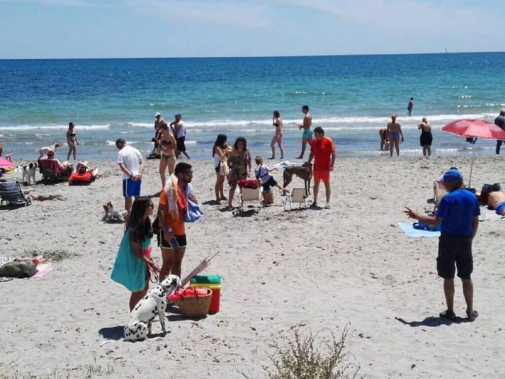 Playa de la Caleta dels Gossets (Santa Pola)